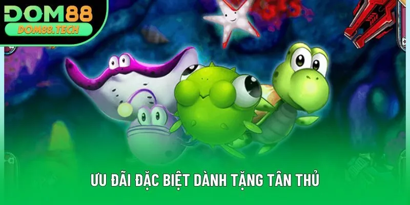 Ưu đãi đặc biệt dành tặng tân thủ Ưu đãi đặc biệt dành tặng tân thủ