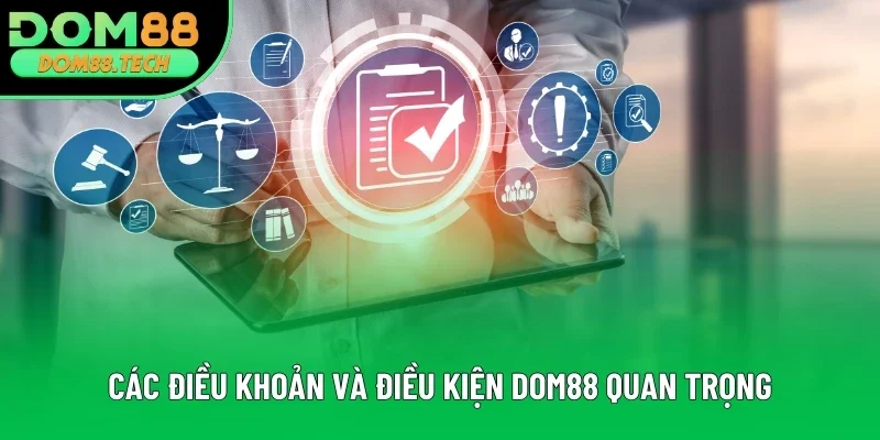 Các điều khoản và điều kiện DOM88 quan trọng