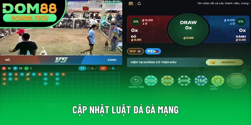 Cập nhật luật đá gà mạng đầy đủ nhất Cập nhật luật đá gà mạng đầy đủ nhất