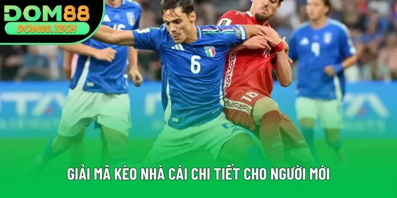Giải mã kèo nhà cái chi tiết cho người mới Giải mã kèo nhà cái chi tiết cho người mới