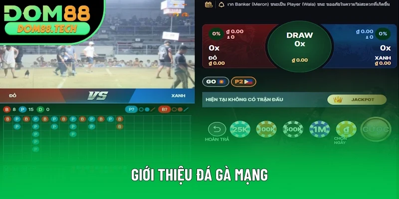 Giới thiệu chi tiết về đá gà mạng Giới thiệu chi tiết về đá gà mạng