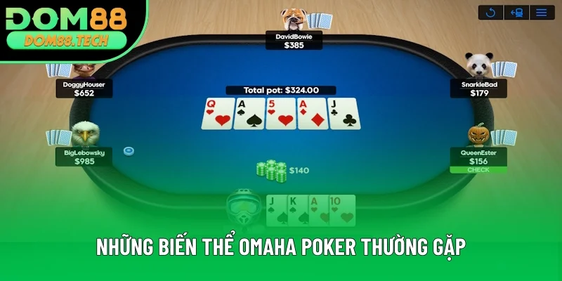 Những biến thể Poker Omaha thường gặp Những biến thể Poker Omaha thường gặp