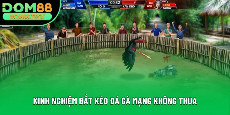 Những kinh nghiệm bắt kèo không thua Những kinh nghiệm bắt kèo không thua