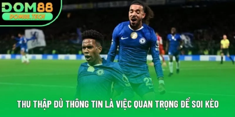 Thu thập đủ thông tin là việc quan trọng để soi kèo Thu thập đủ thông tin là việc quan trọng để soi kèo